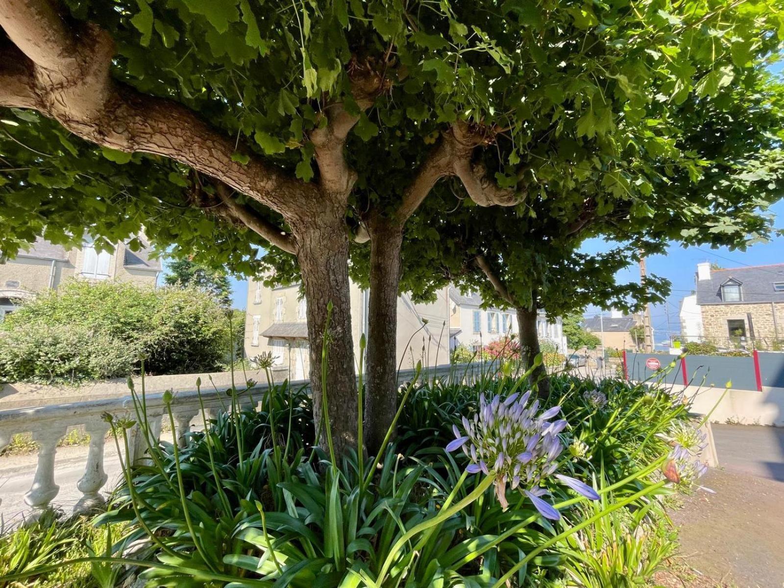 Residence Des Bains Carantec Dış mekan fotoğraf